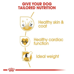 Royal Canin Golden Retriever Adult Dry Dog Food 12kg