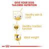 Royal Canin Golden Retriever Adult Dry Dog Food 12kg